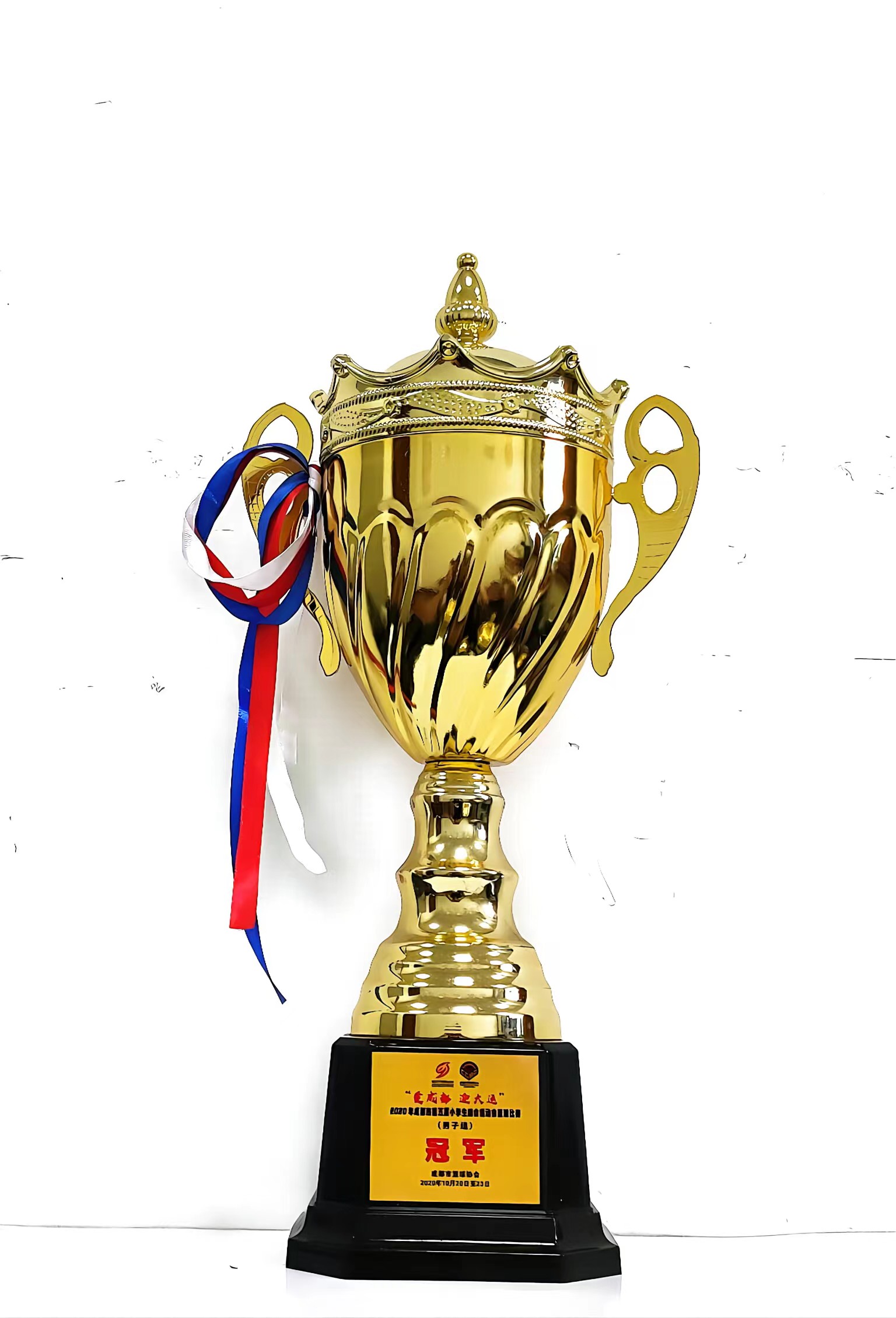 2020年中小學生綜合運動會足球比賽（男子甲組）：冠軍   獎杯